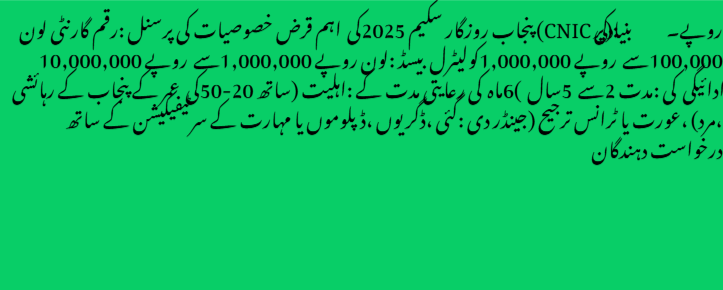 Punjab Rozgar Scheme 2025